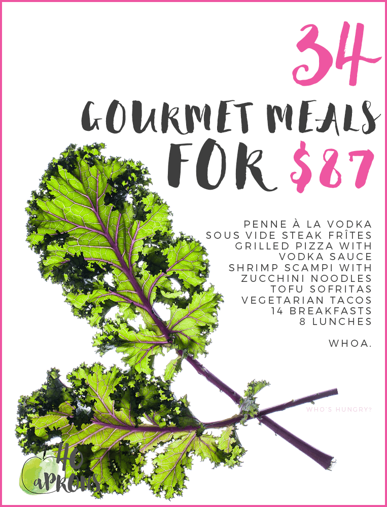 Gourmet Meal Plan: 34 Meals for $87!