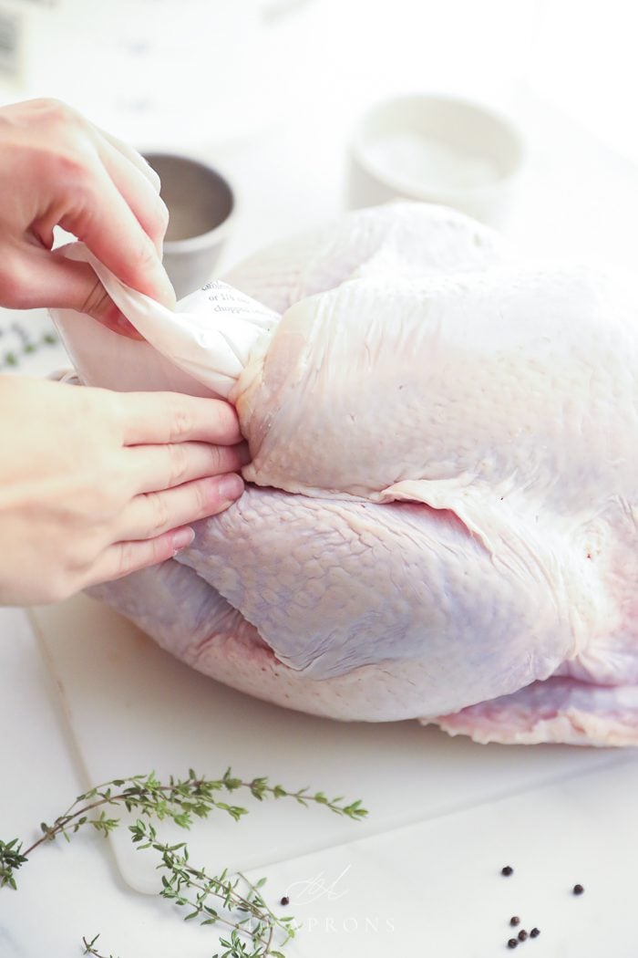 Hands preparing a turkey to be roasted