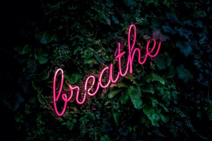 a neon pin sign reading the word breathe against a background of jungle plants