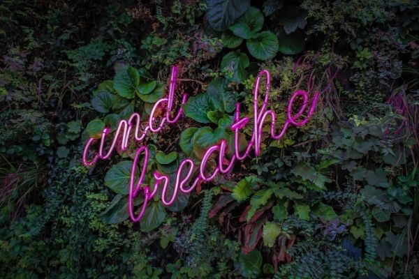 a pink neon sign with the flashing words "and breathe" against a wall of green jungle plants  