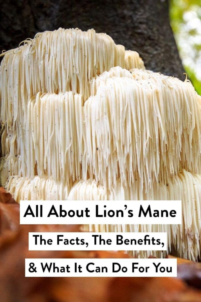 Lion's mane mushroom with a text overlay about lion's mane benefits