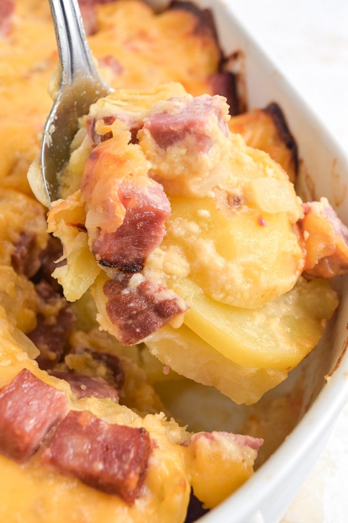 One serving of cheesy ham and potato casserole being spooned out of the casserole dish