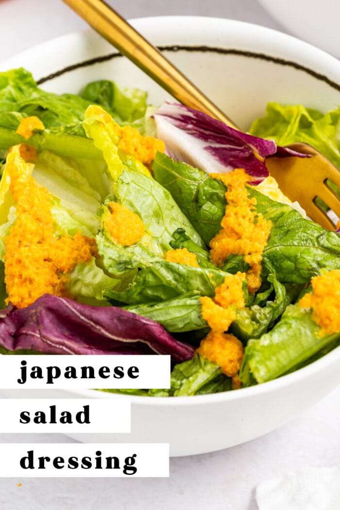Pin graphic for Japanese salad dressing