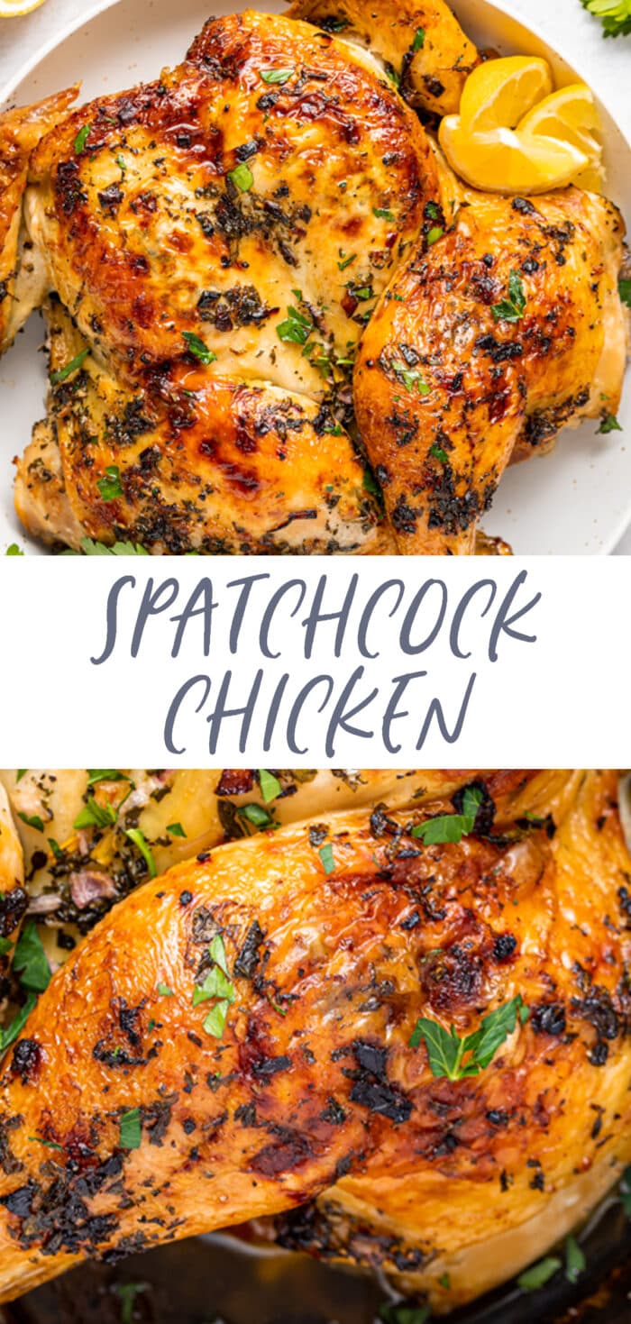 Pin graphic for spatchcock chicken