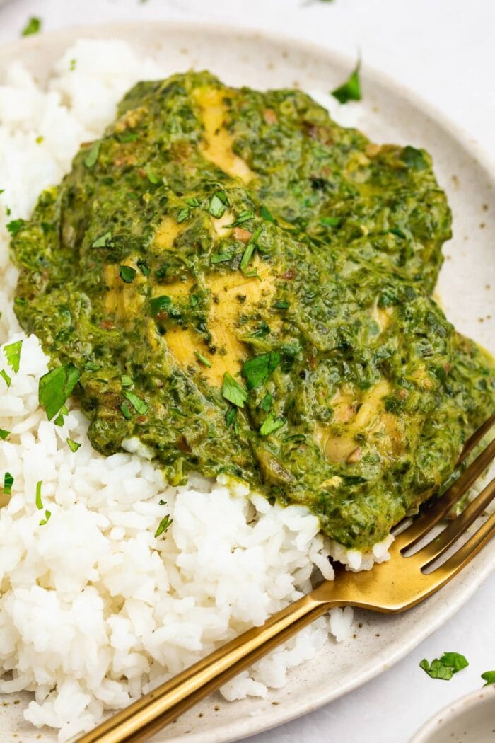 chicken saag on a plate with rice and a fork