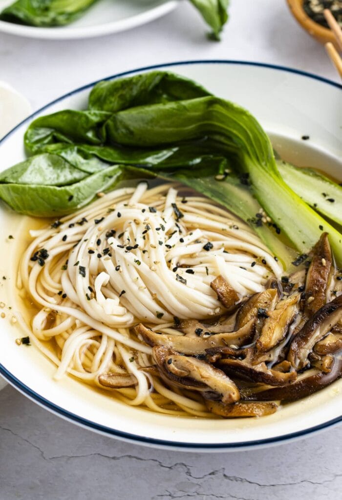 Udon soup in a bowl with blue trim