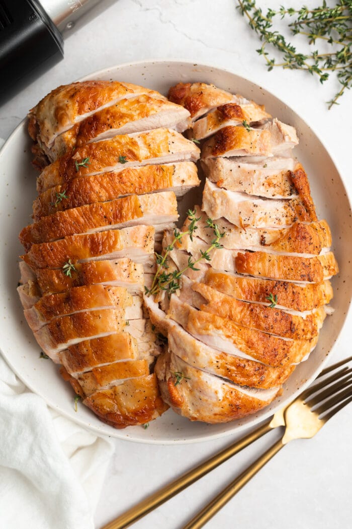 Overhead image of sous vide turkey breast on a plate with a sous vide on the side