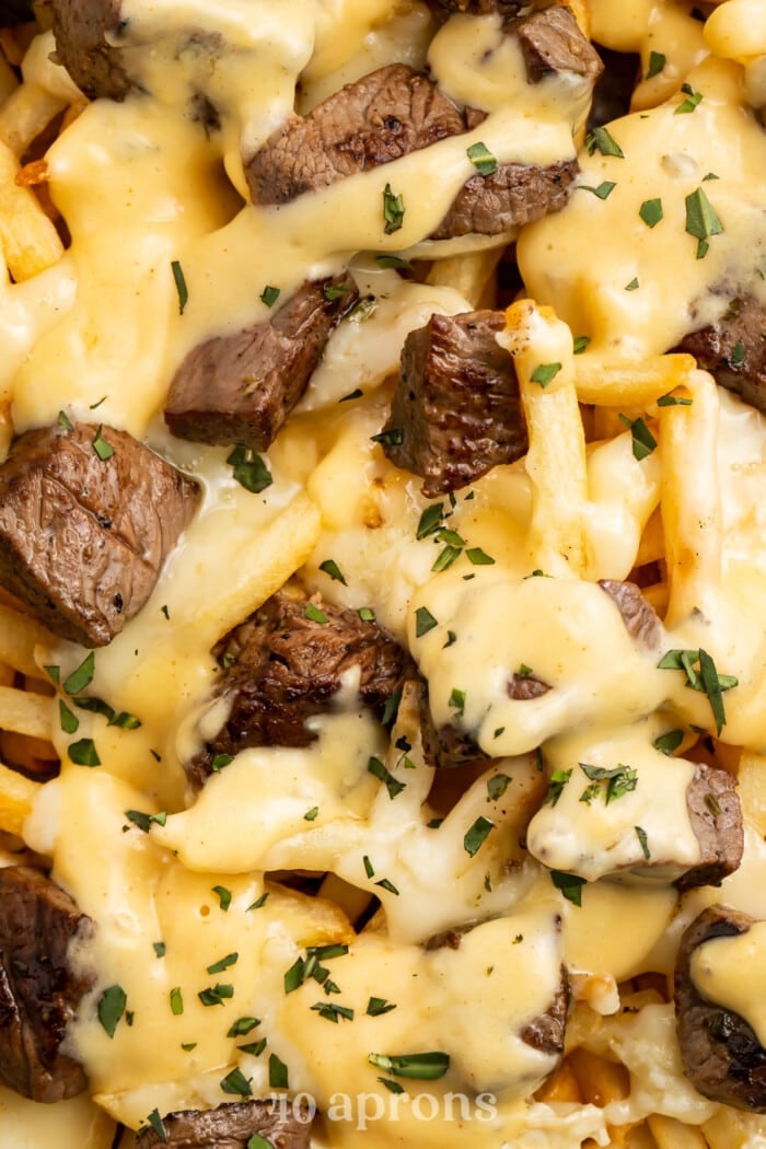 Close-up overhead view of baked brie and steak cheese fries.