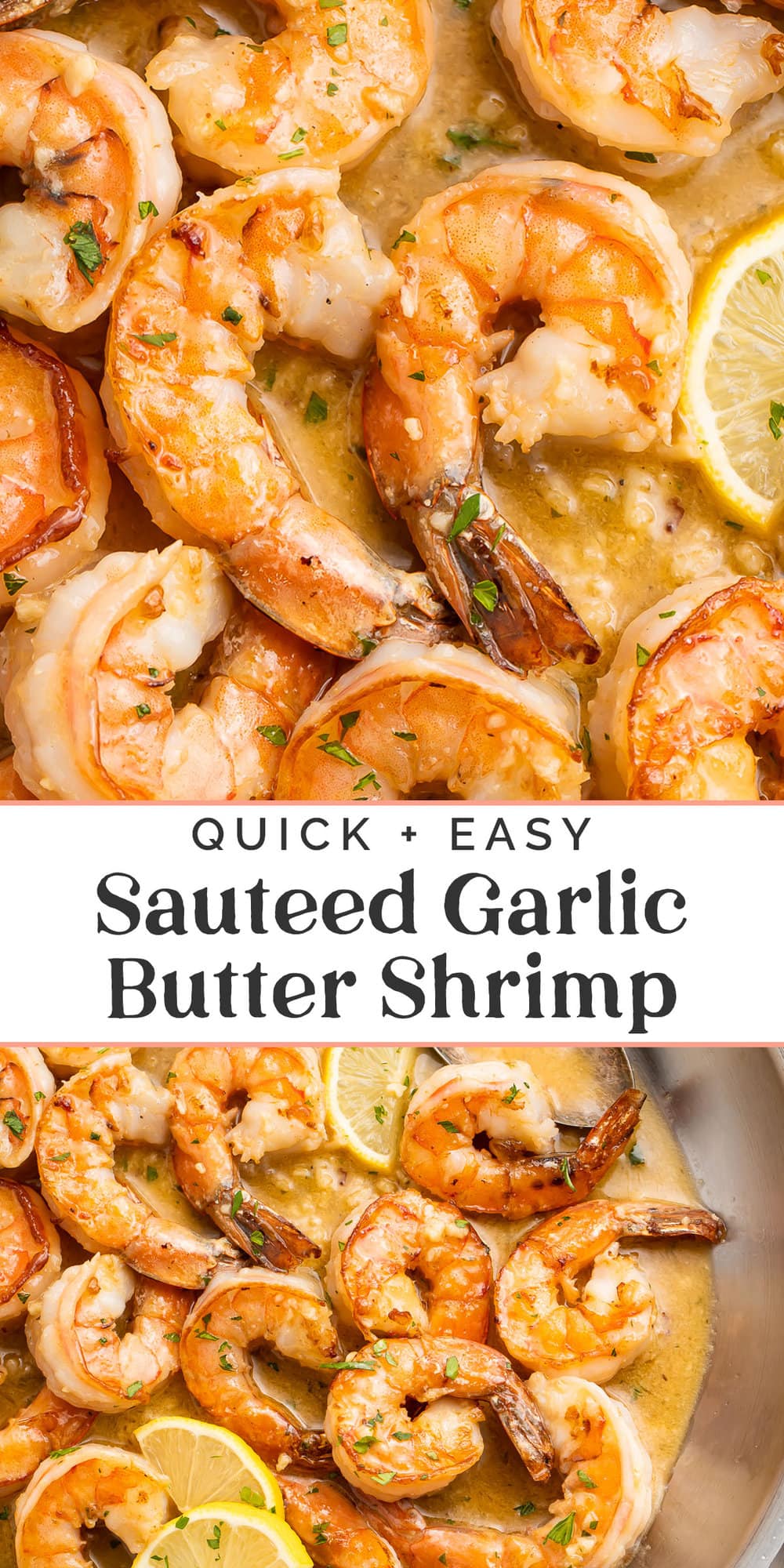 Pin graphic for sauteed garlic butter shrimp.