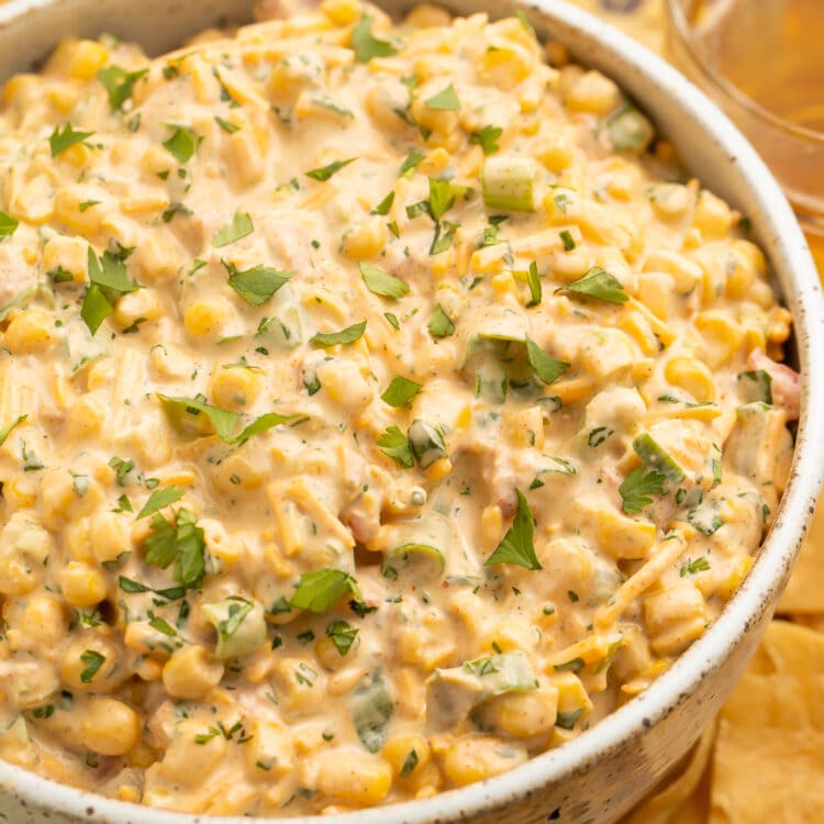 A bowl of Mexican corn dip surrounded by tortilla chips.