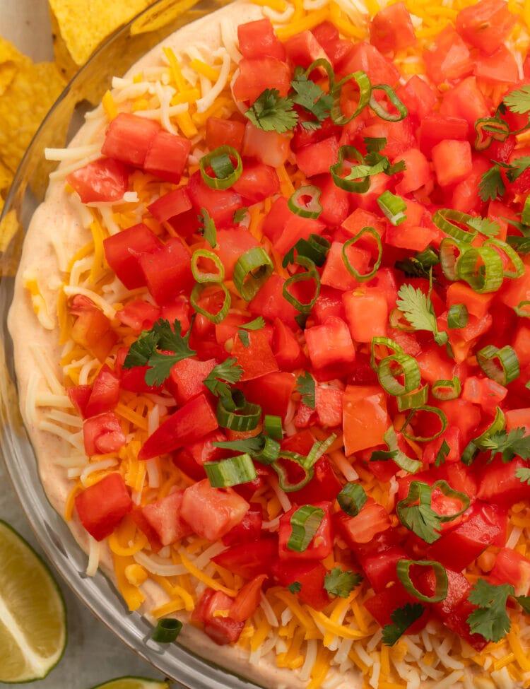 Top-down, overhead view of a 5 layer dip topped with gorgeous bright red tomatoes. Half the bowl is out of frame on the right side of the image.